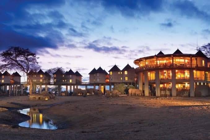 Salt Lick Safari Lodge